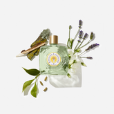 ENGLISH LAVENDER Eau de Toilette Splash | PDP | English Lavender