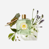 ENGLISH LAVENDER Eau de Toilette Splash | PDP | English Lavender