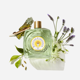 ENGLISH LAVENDER Eau de Toilette Splash | PDP | English Lavender