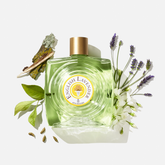 ENGLISH LAVENDER Eau de Toilette Splash | PDP | English Lavender